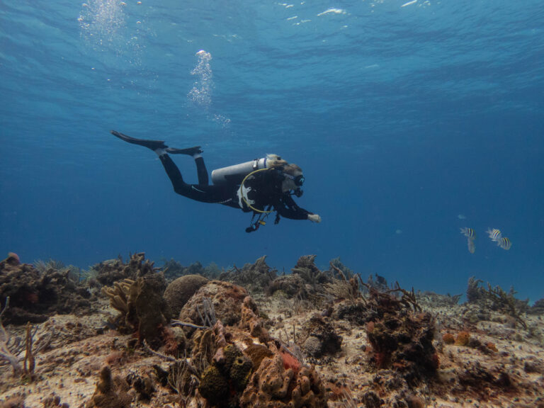diver on cozumel reef