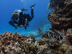Cozumel Marine Park