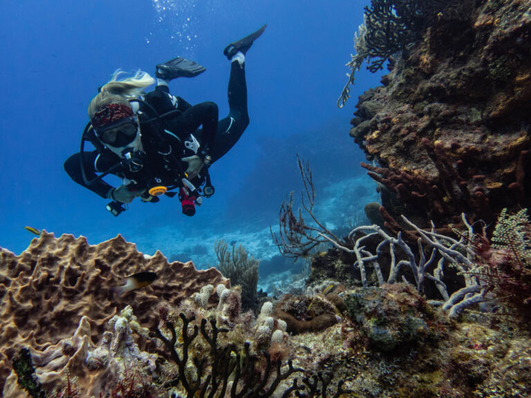 Cozumel Marine Park
